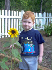 sunflower_garden.jpg